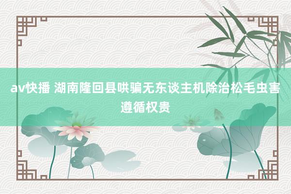 av快播 湖南隆回县哄骗无东谈主机除治松毛虫害遵循权贵