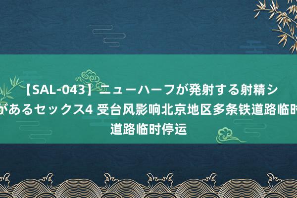 【SAL-043】ニューハーフが発射する射精シーンがあるセックス4 受台风影响北京地区多条铁道路临时停运