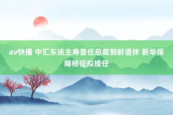 av快播 中汇东谈主寿首任总裁到龄退休 新华保障杨征拟接任