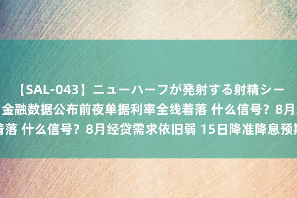 【SAL-043】ニューハーフが発射する射精シーンがあるセックス4 7月金融数据公布前夜单据利率全线着落 什么信号？8月经贷需求依旧弱 15日降准降息预期昂首