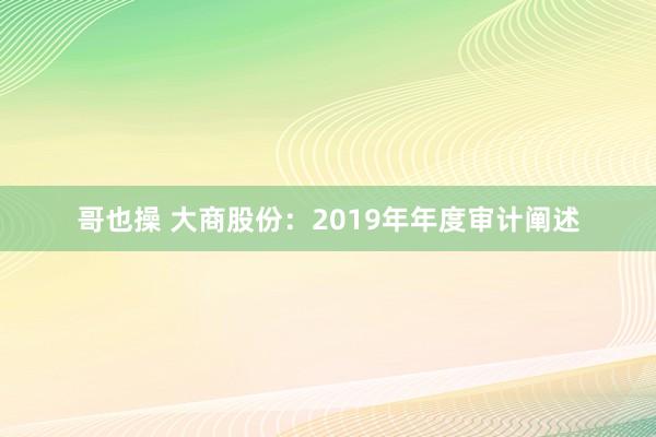哥也操 大商股份:2019年年度审计阐述