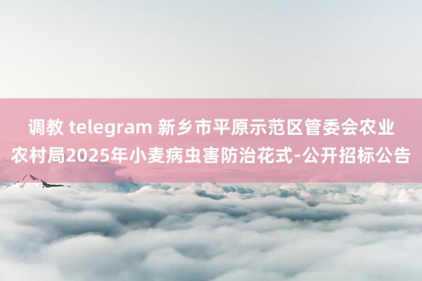 调教 telegram 新乡市平原示范区管委会农业农村局2025年小麦病虫害防治花式-公开招标公告
