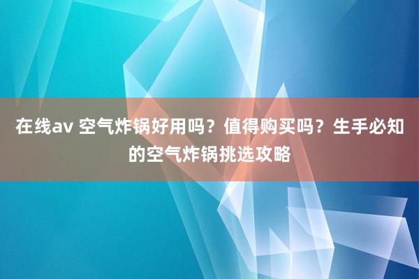在线av 空气炸锅好用吗？值得购买吗？生手必知的空气炸锅挑选攻略