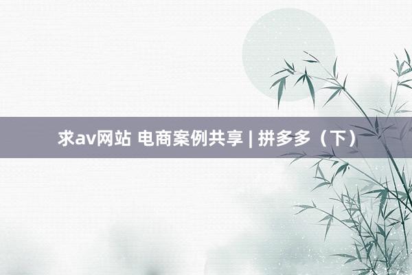 求av网站 电商案例共享 | 拼多多（下）